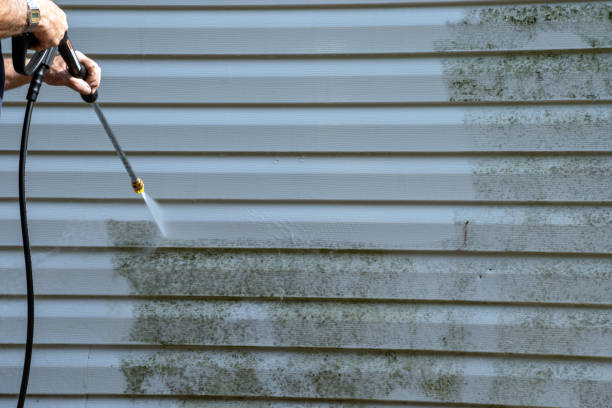Property Management Cleanouts in New Haven, WV